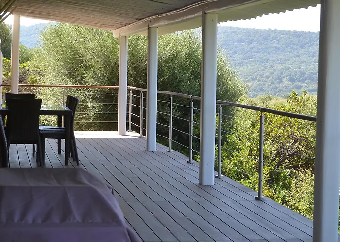 Torraccia 维琪奥港